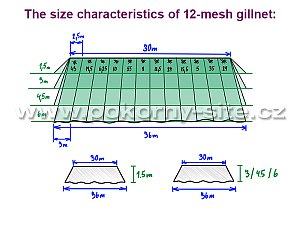 The size characteristics of 12-mesh gillnet