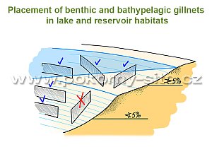 Placement of benthic and bathypelagic gillnets in lake and reservoir habitats