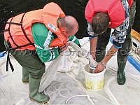 Ichtyoplankton net - trawl