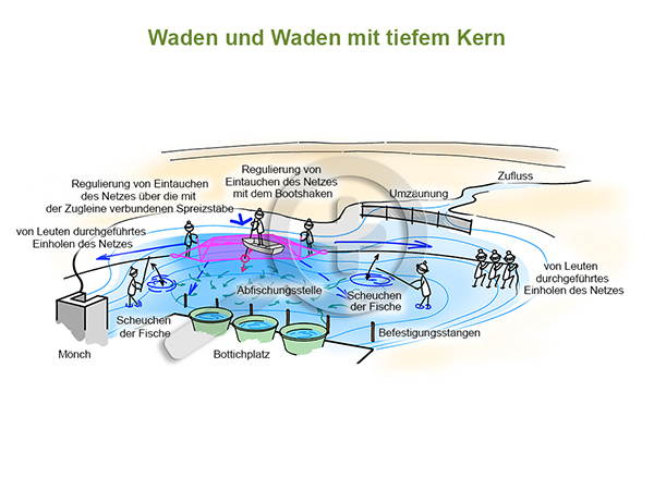 Waden und Waden mit tiefem Kern