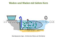 Waden und Waden mit tiefem Kern