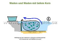 Waden und Waden mit tiefem Kern