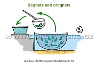 Bagnets and dragnets