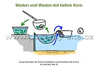 Waden und Waden mit tiefem Kern