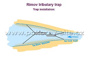 Rimov tributary trap