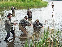 Lov zátahovou sítí v rybnících
